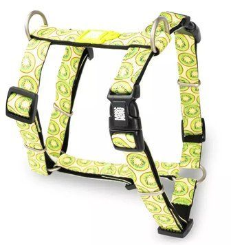 Max & Molly H-Harness - Kiwi/XS- Макс та Молли Шлея для собак Ківі, розмір XS 192013 фото
