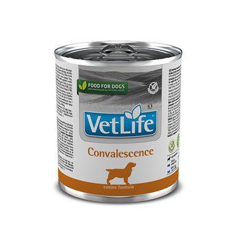 Вологий корм Farmina Vet Life Convalescence для собак дієта для відновлення харчування та одужання 300 г LP LP166136 фото