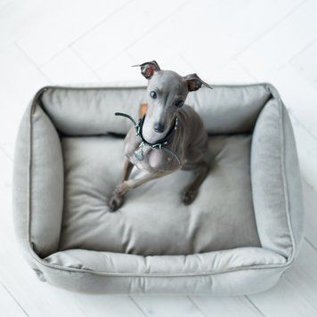 Лежак Dreamer Velur Gray M (70x50 cm) 3102741 фото