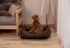 Лежак Dreamer Brown S (60x45 cm) 3102573 фото 10
