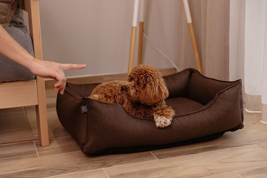 Лежак Dreamer Brown S (60x45 cm) 3102573 фото