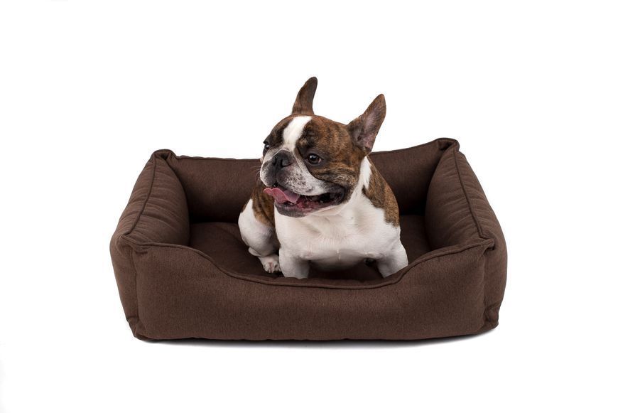 Лежак Dreamer Brown S (60x45 cm) 3102573 фото