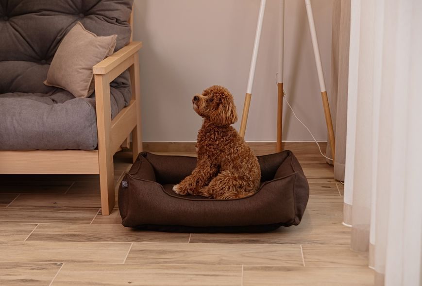 Лежак Dreamer Brown S (60x45 cm) 3102573 фото
